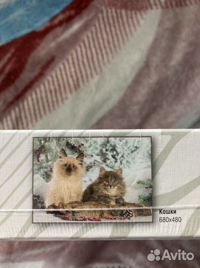 Пазл Step Кошки новый