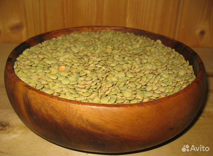 Чечевица зеленая