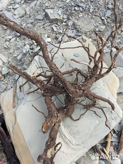 Украшения для интерьера