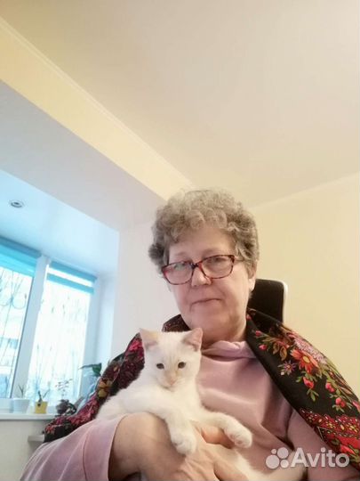 Репетитор по русскому языку, корректор и редактор