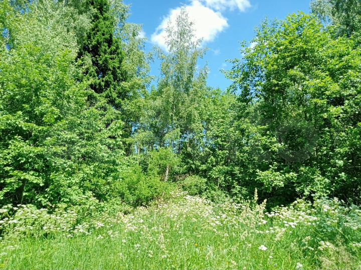 Участок 5,8 сот. (СНТ, ДНП)