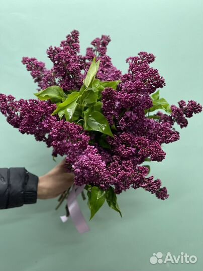 Роза Хризантема букет