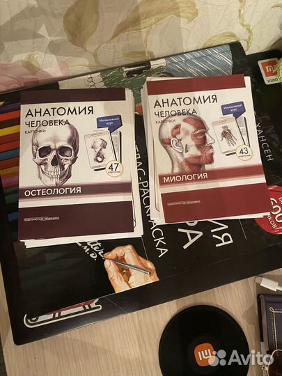 Карты анатомии человека