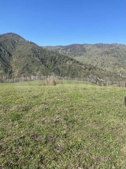 Участок 3 га (СНТ, ДНП)