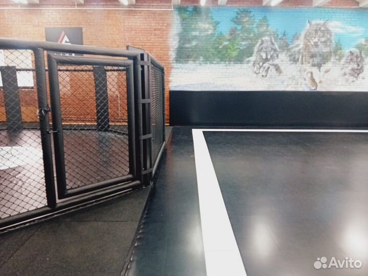 Мат гимнастический 2х1х0.1м нпэ