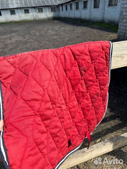 Вальтрапы и мех для лошади