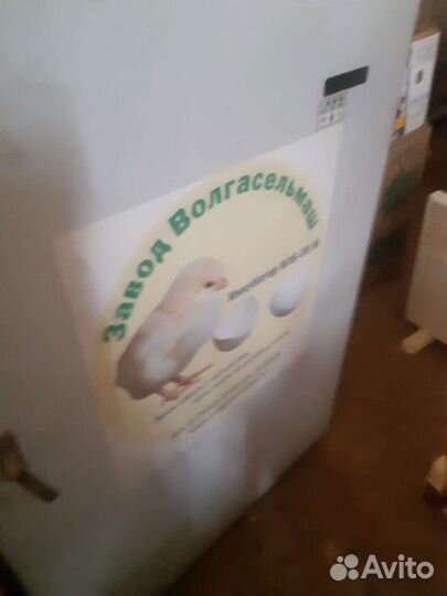 Инкубатор для цыплят