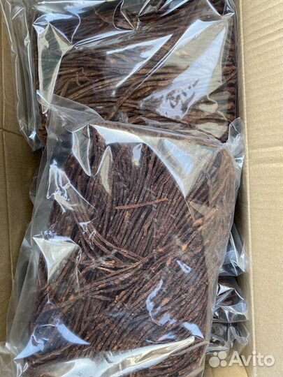 Паутинка морская чернила каракатица