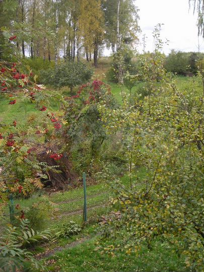 Дача 45 м² на участке 14 сот.