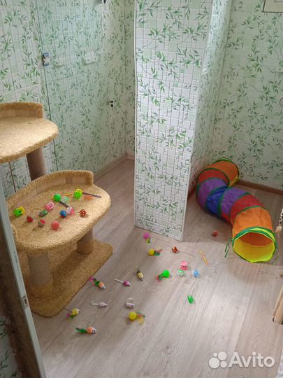 Зоогостиница на природе,номера с личным балконом