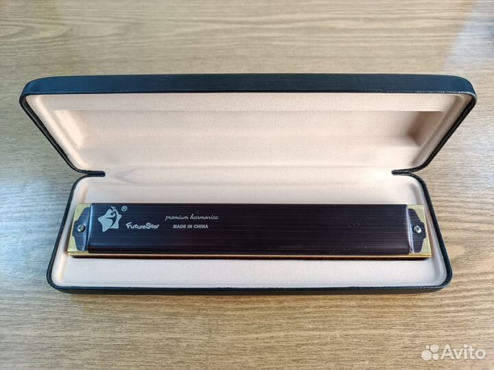 Губная гармошка Future Star FF-2816 BR до мажор