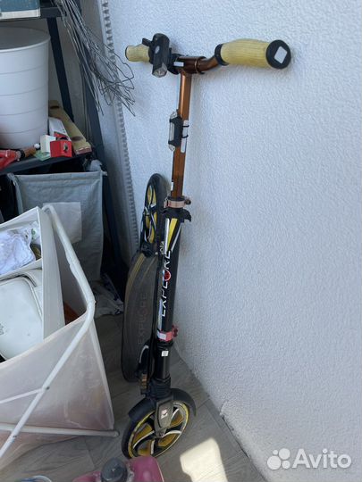 Самокат взрослый explorer