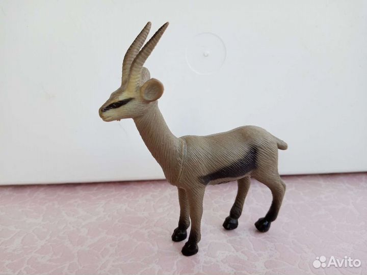 Животные разные