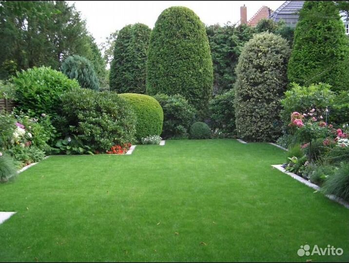 Рулонный газон под ключ Стандарт