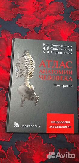 Атлас анатомии человека 3 том Синельников