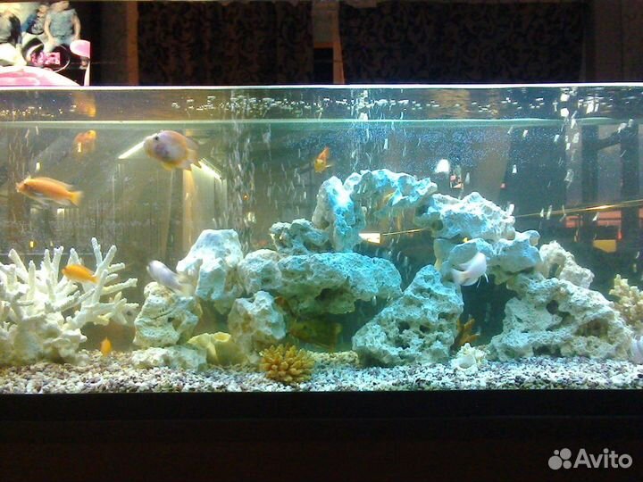 Обслуживание, установка, переезд, дизайн аквариума