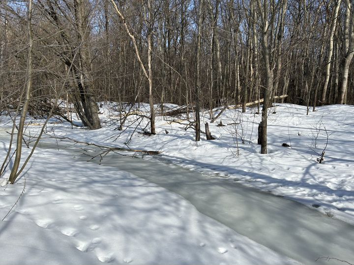 Участок 2,86 га (СНТ, ДНП)