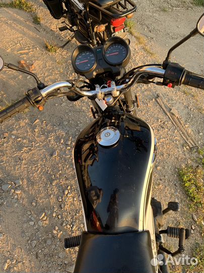 Альфа рх11lux