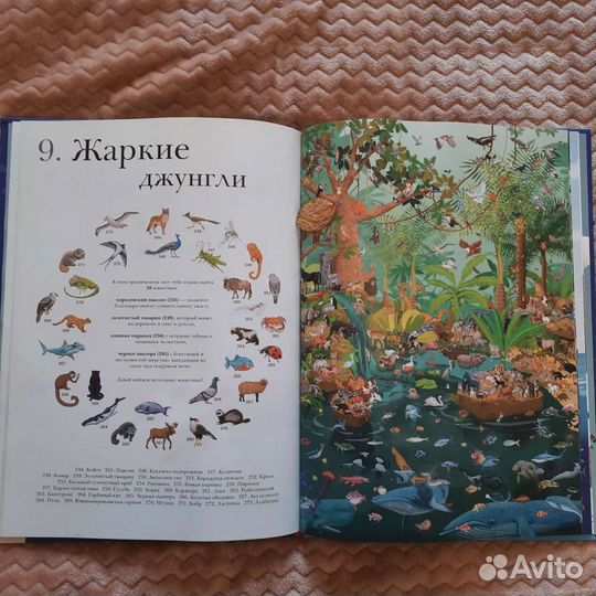 Книга детская календарь животных