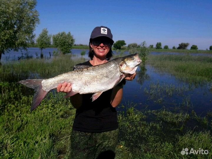 Рыбалка в Астрахани. Низовья Волги. Гостевой дом