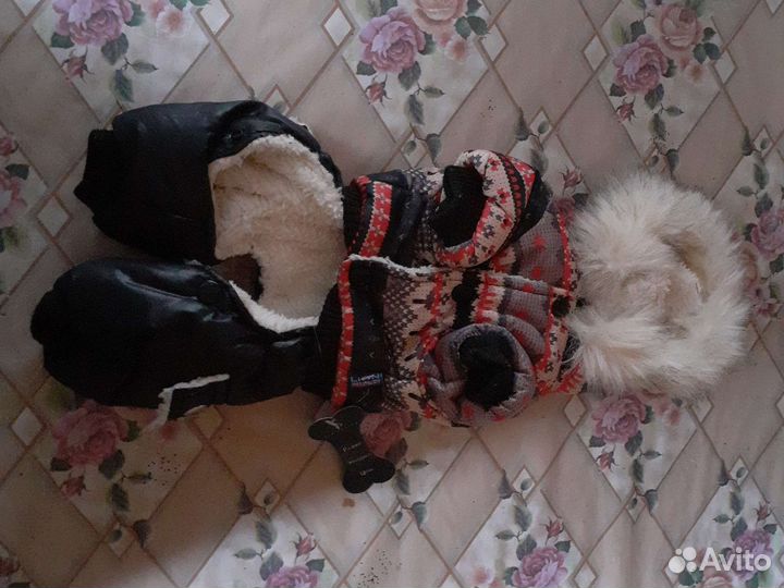 Одежда и аксессуары для собак