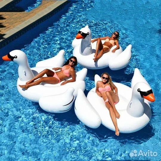 Надувной лебедь, фламинго