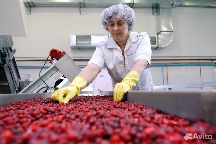 Упаковщик/ца на склад