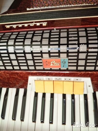 Аккордеон Березка