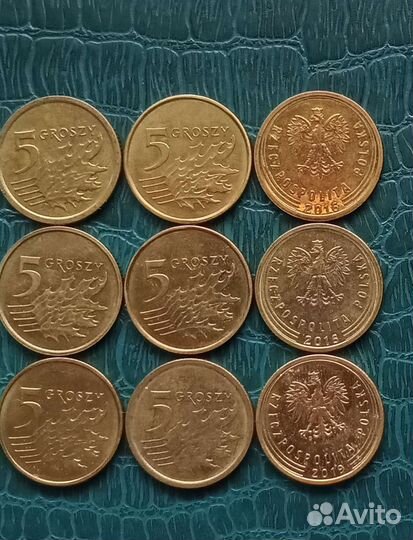 Монета (Польша)