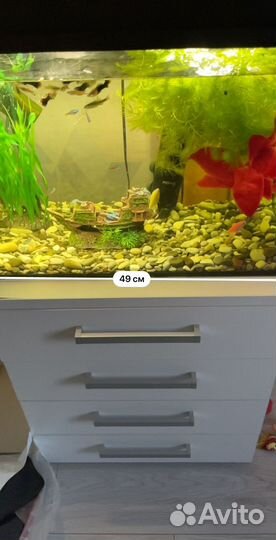 Продам Аквариум На 50 литров