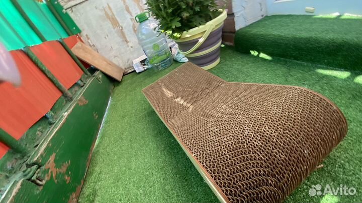 Когтеточка из картона