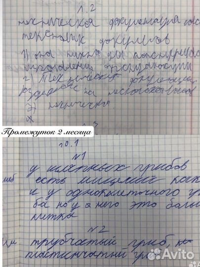 Коррекция письма. Исправление почерка