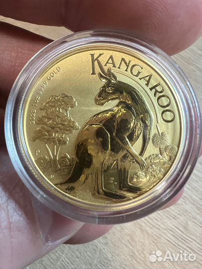 Золотая монета Кенгуру, 2023год, 31,1 грамм