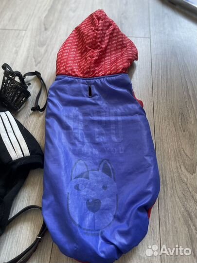 Одежда для бигля XL 3-6 месяцев