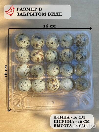 Упаковка для перепелиных яиц
