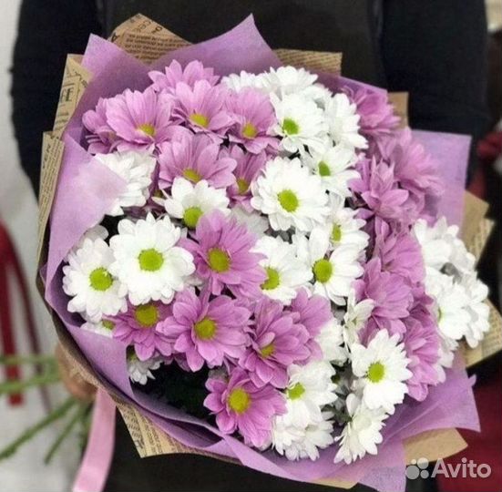 Букет Цветы Хризантемы