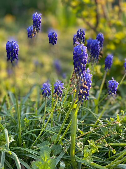 Комната 35 м² в 2-к., 1/2 эт.