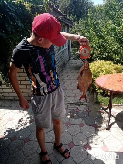 Организация рыбалки