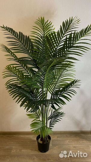 Искусственная пальма не отличить от настоящей