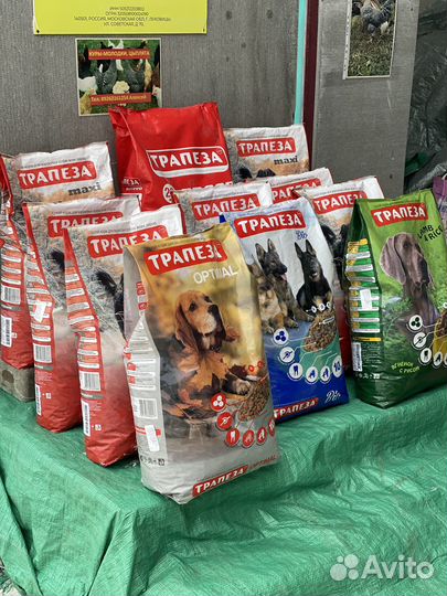 Корм для кошек и собак