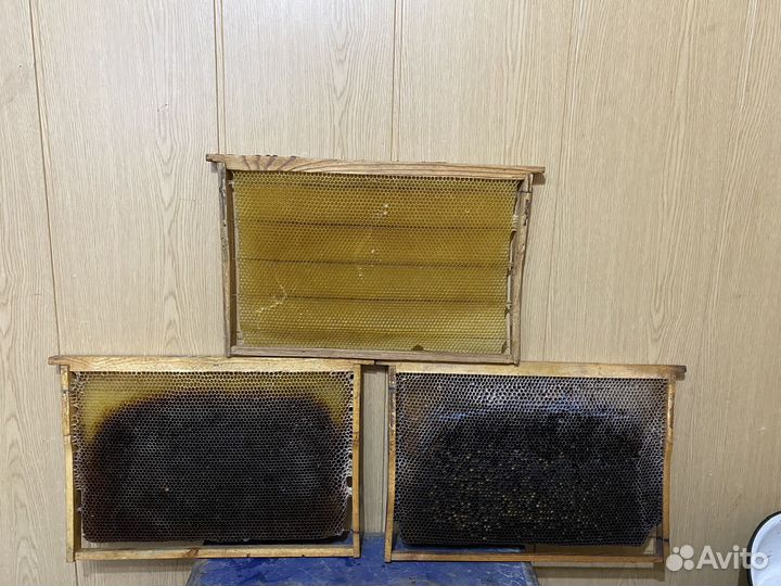 Сушь для пчел