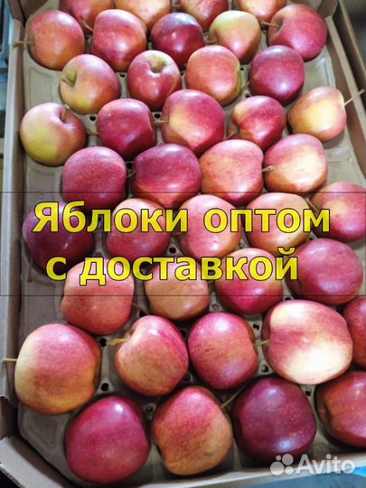 Яблоки оптом с доставкой