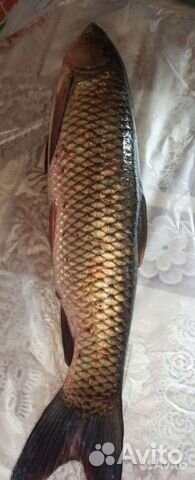 Рыба свежая