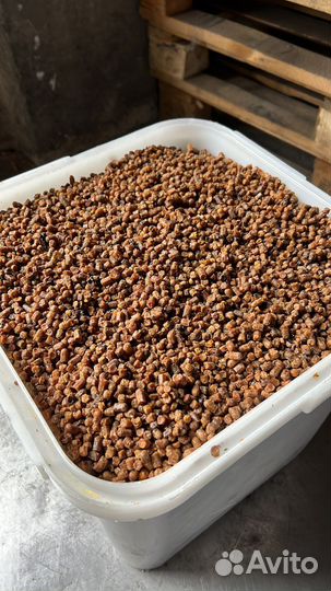 Перга пчелиная