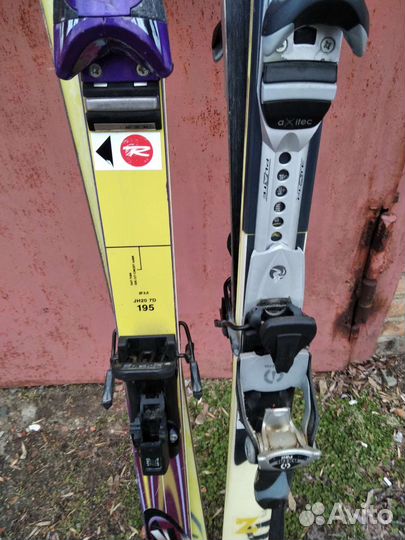 Горные лыжи