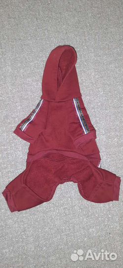 Спортивный комбинезон для собаки