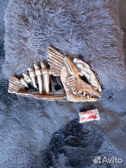 Декоративная рыба для аквариума