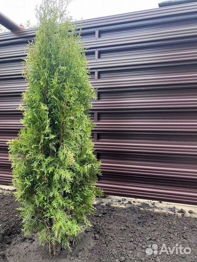 Забор жалюзи