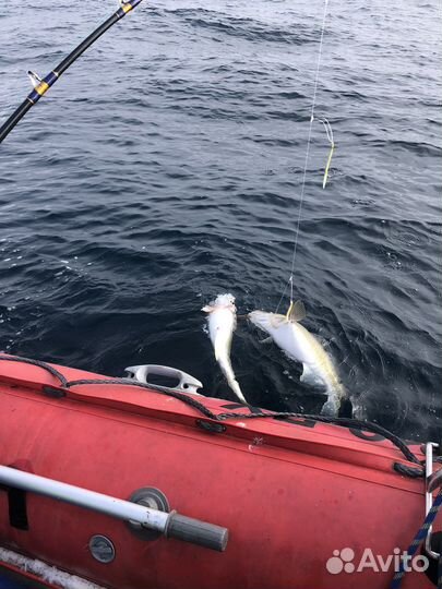 Рыбалка в Баренцевом море вТериберке