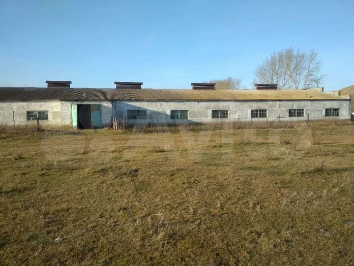 Свободного назначения, 8000 м²